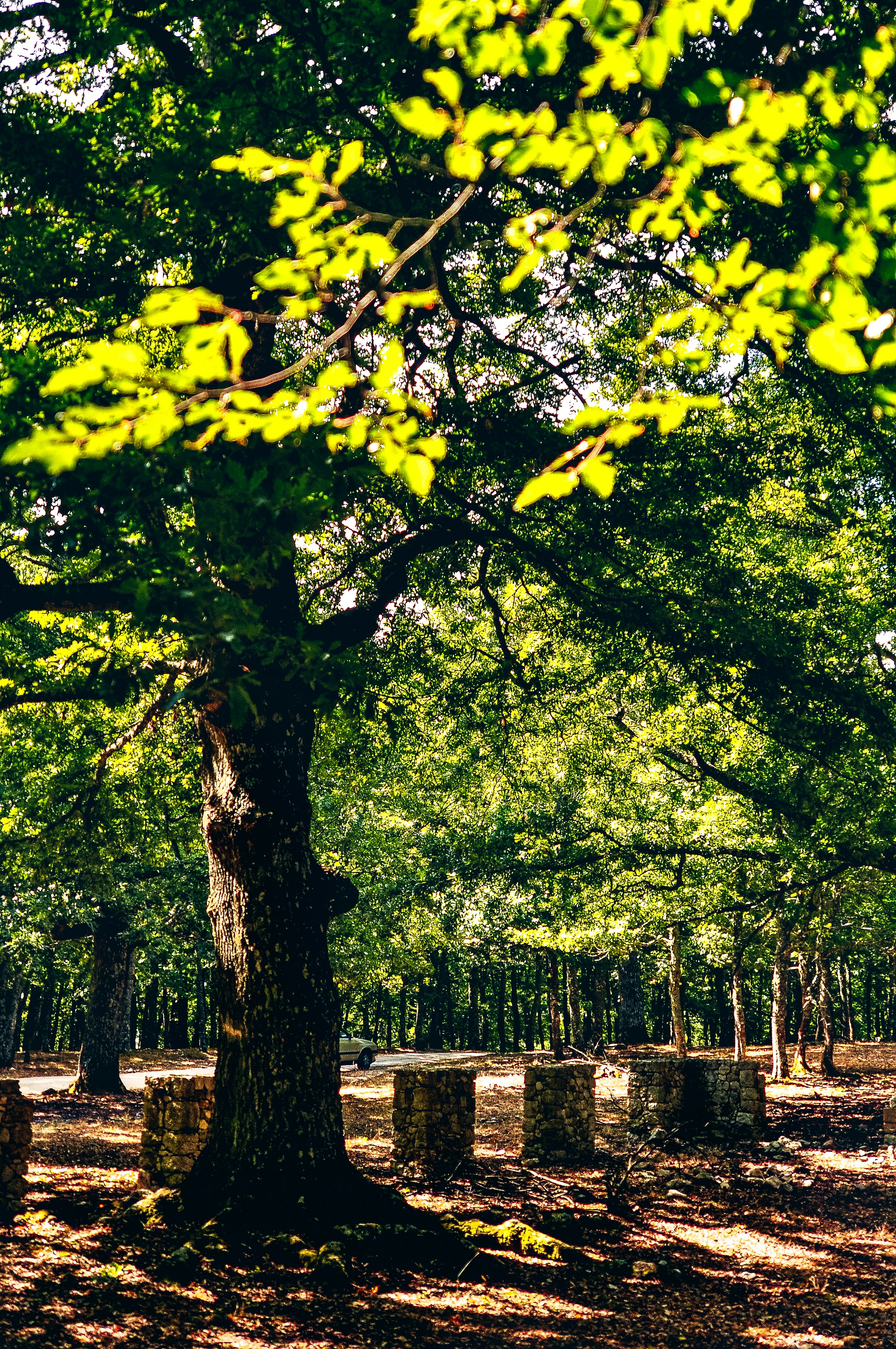 Photo by emilianovittoriosi