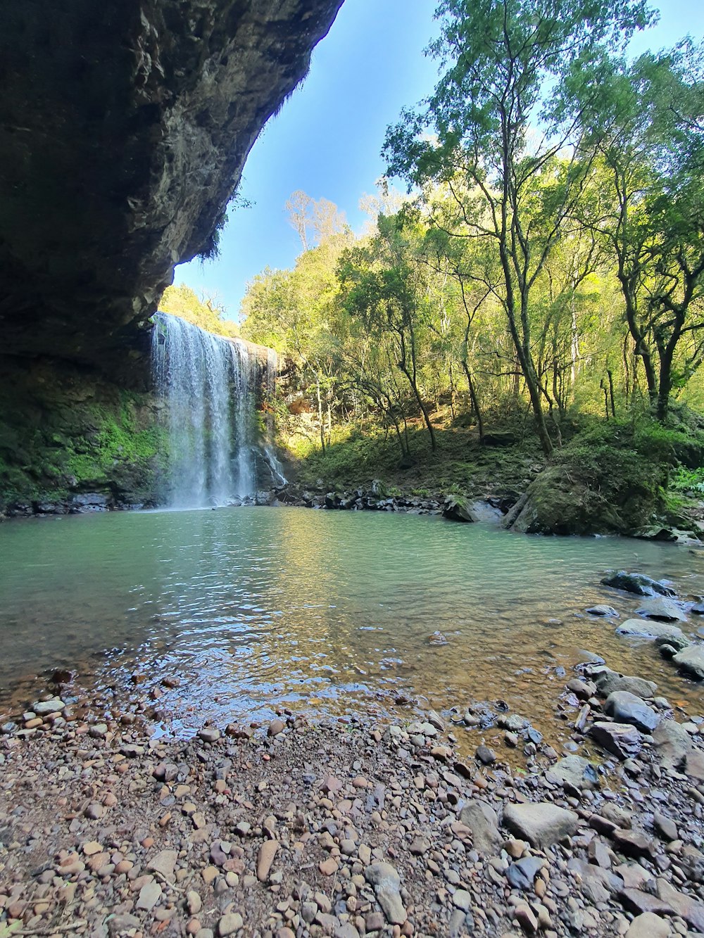 El agua cae entre árboles verdes durante el día