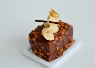 chocolate cake on white ceramic plate