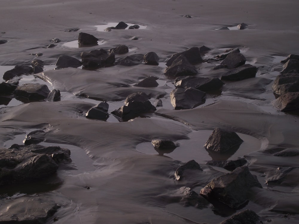 black rocks on white sand beach during daytime