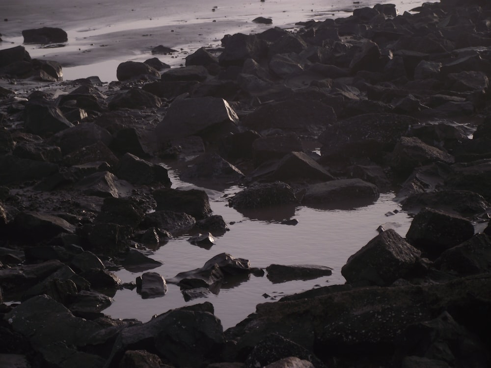 black rocks on seashore during daytime