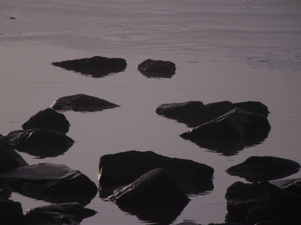 black rocks on body of water