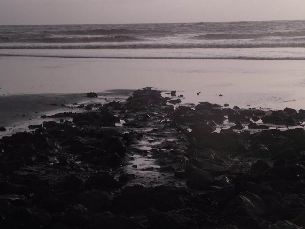 black and white stones on seashore during daytime