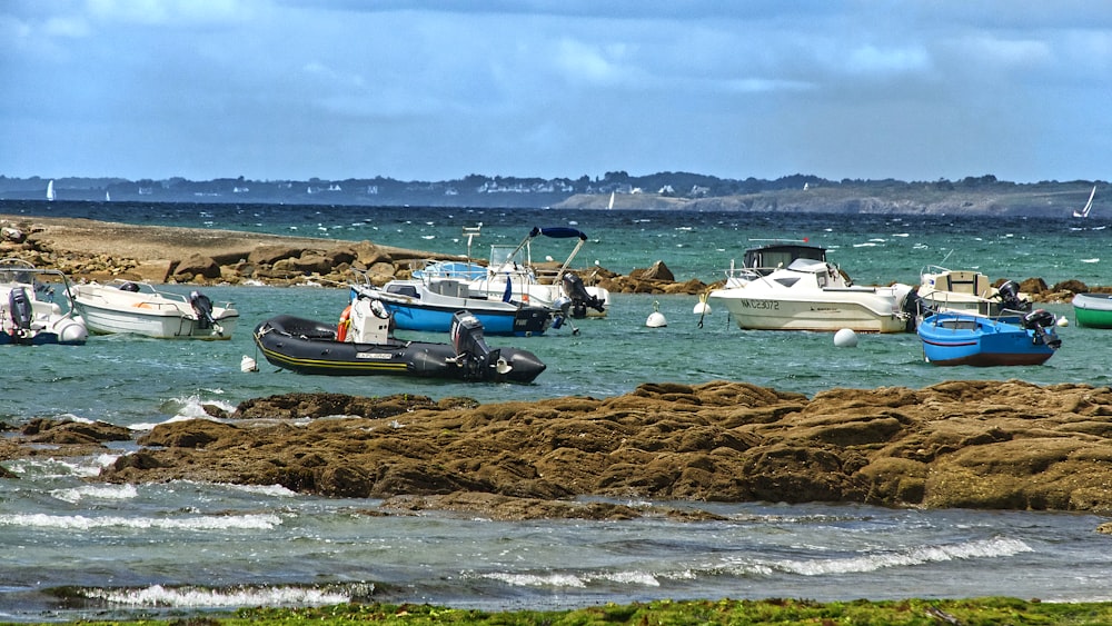 white and red boat on sea shore during daytime