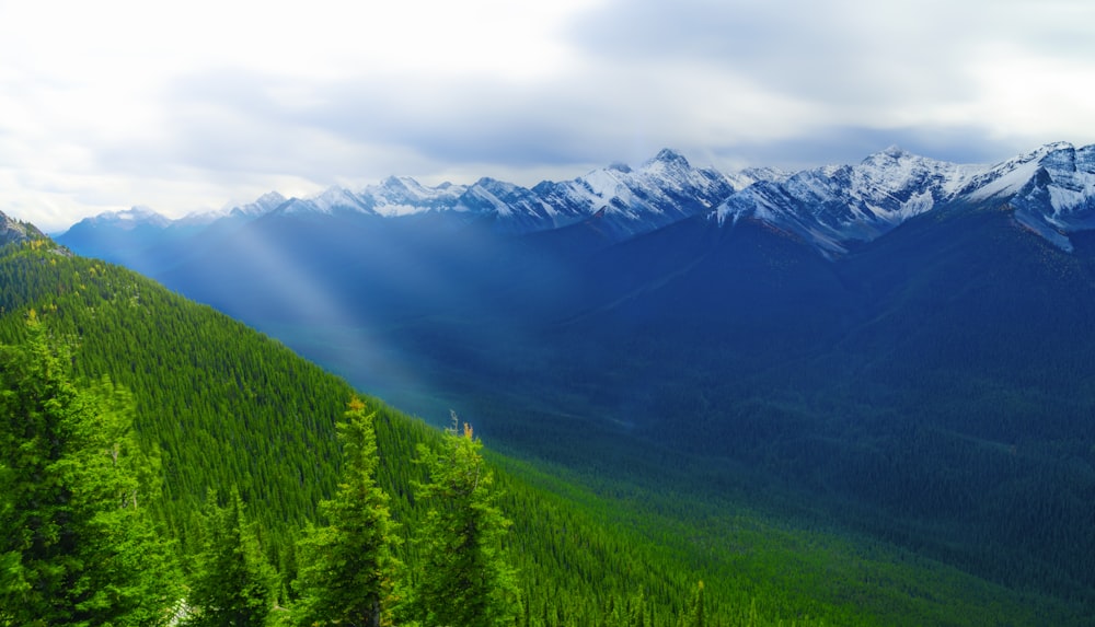 grüne Bäume und Berge unter weißen Wolken und blauem Himmel tagsüber