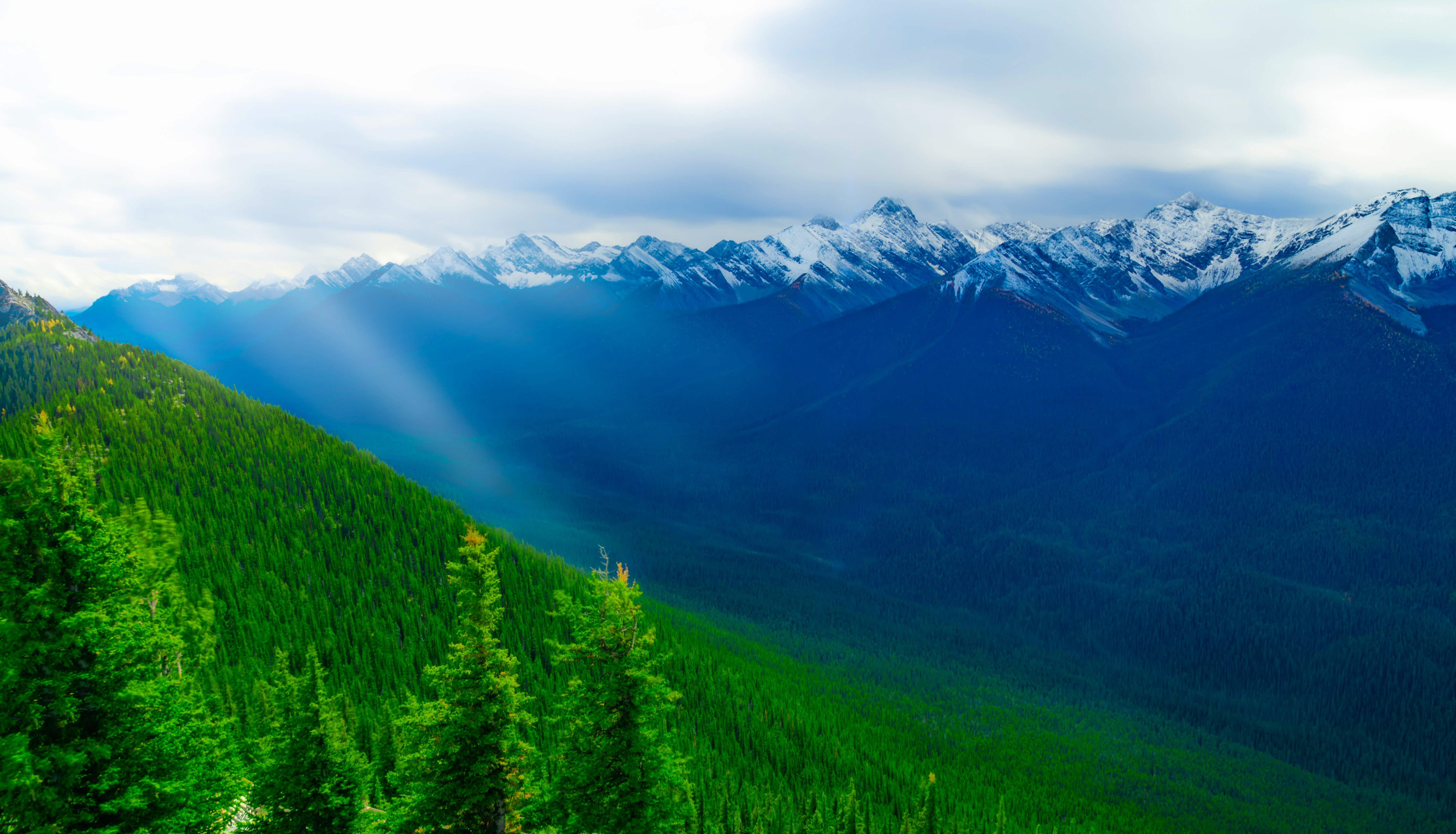 green trees and mountains under white clouds and blue sky during daytime