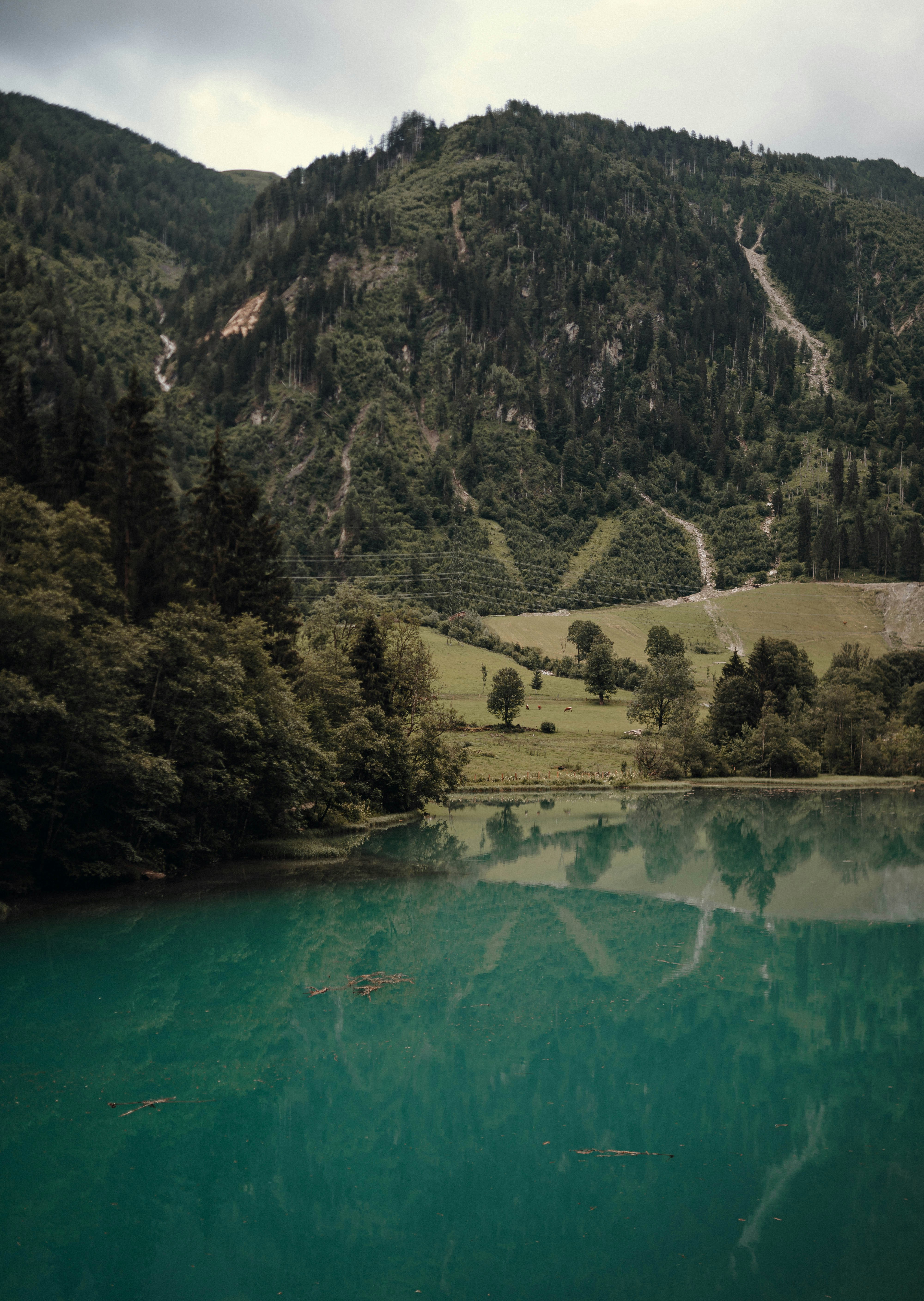 Photo by luiseandnic