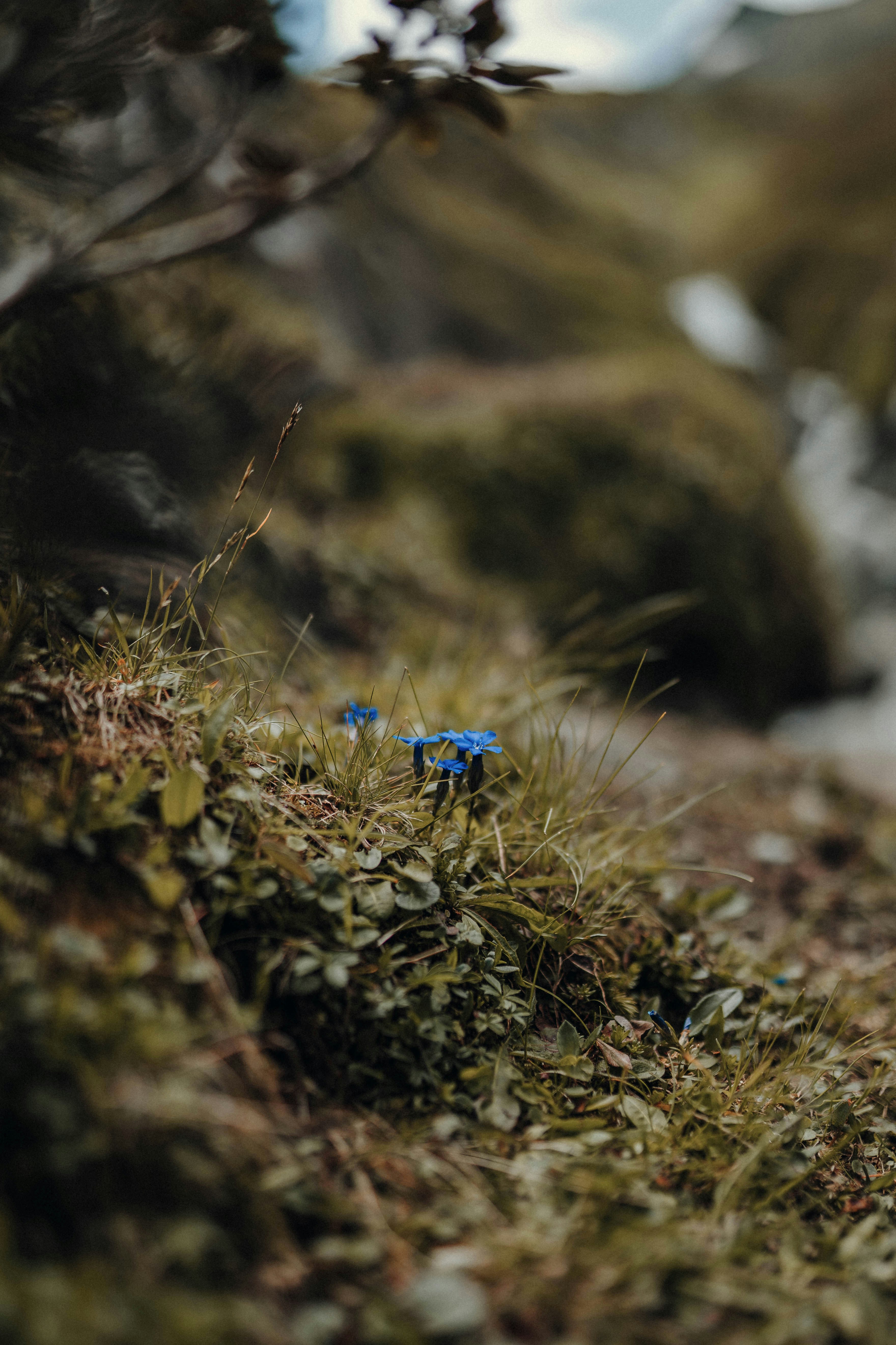 Photo by luiseandnic