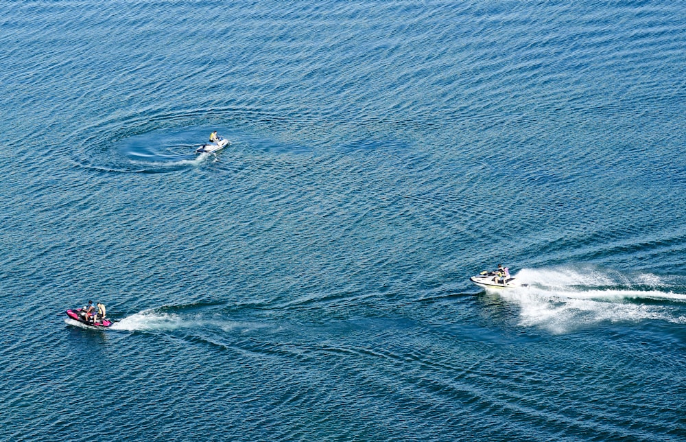 white and black motor boat on blue sea water during daytime