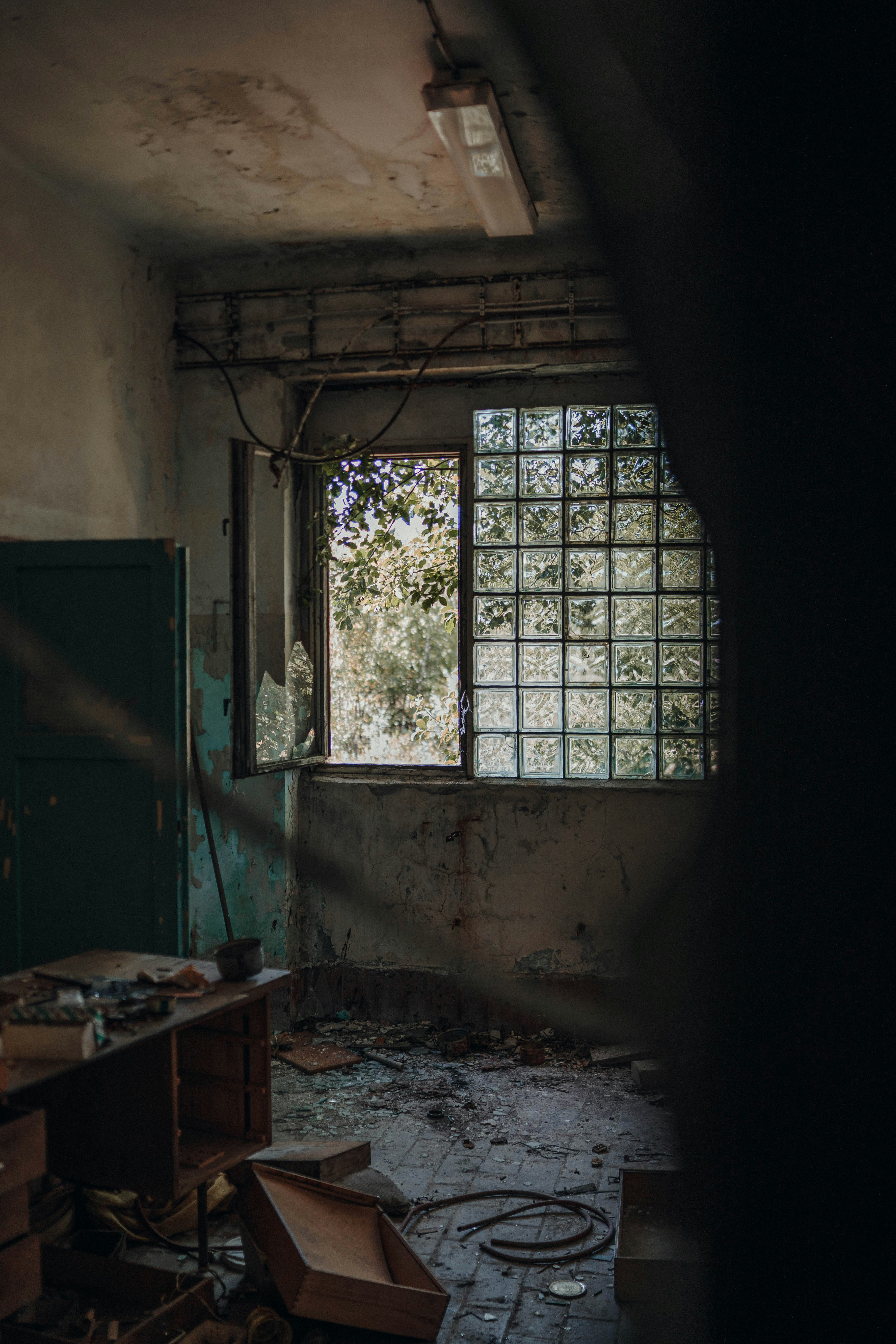 Photo by luiseandnic