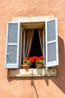 assisi