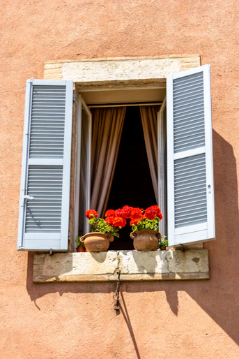 red flowers in brown clay pot beside window