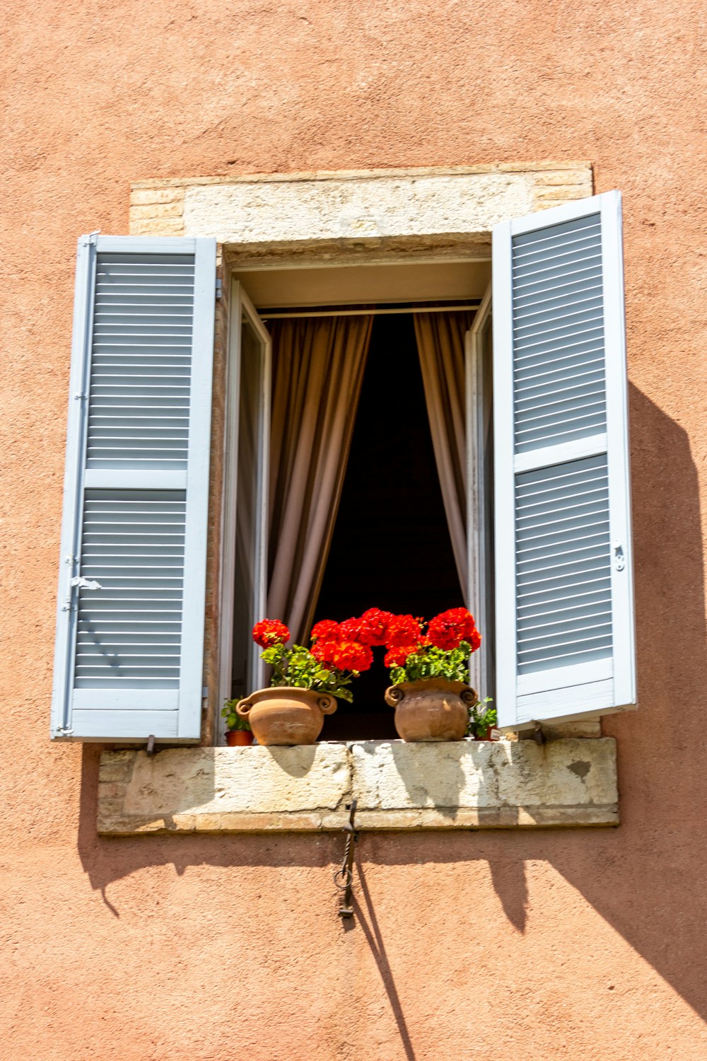 red flowers in brown clay pot beside window