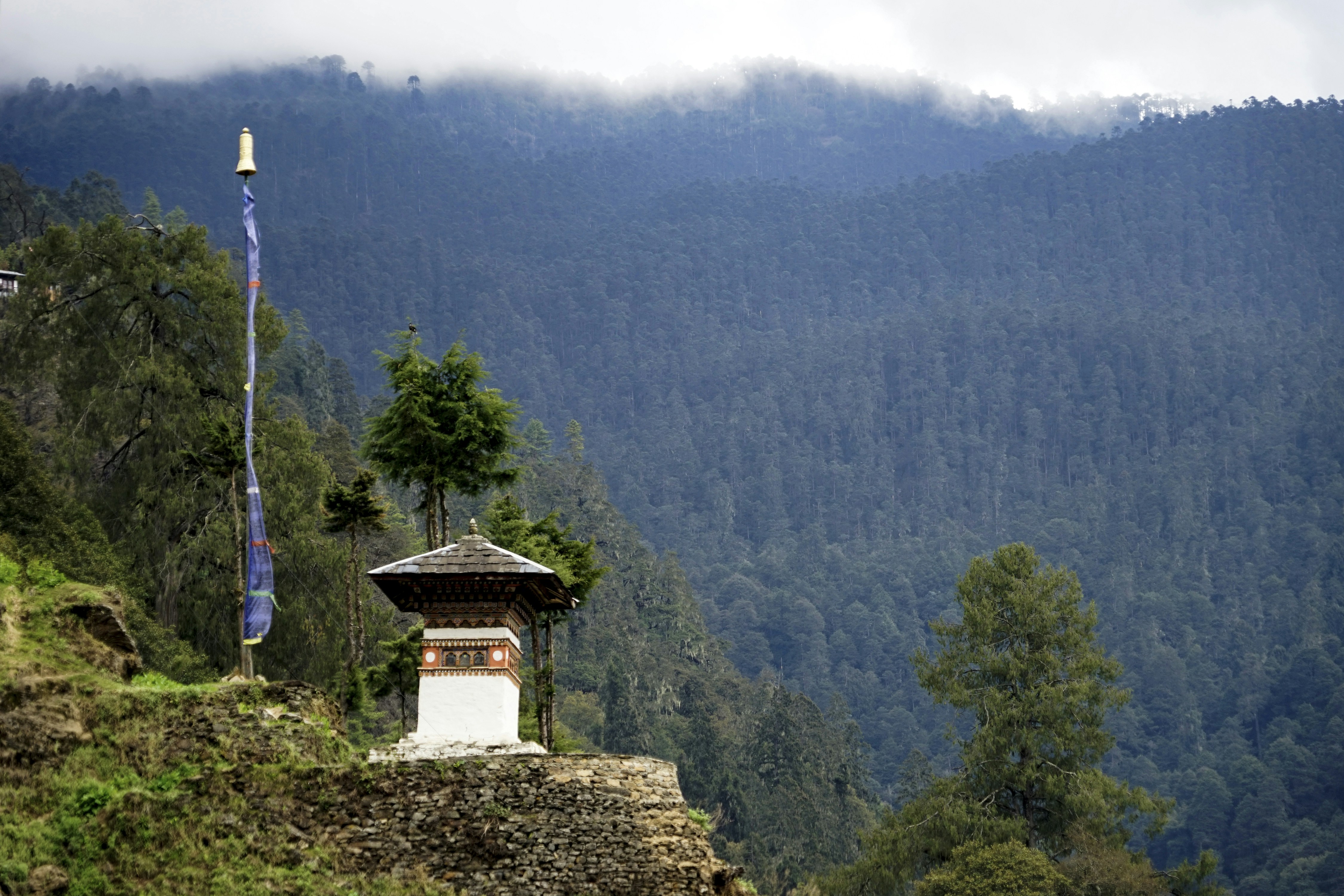 Photo by pgyamtsho