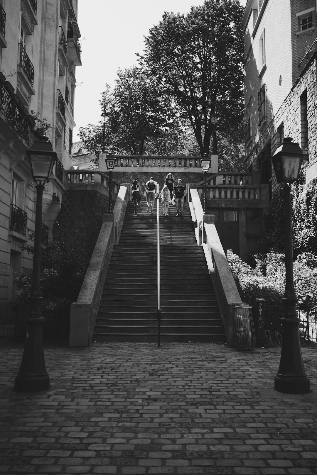 grayscale photo of a bridge