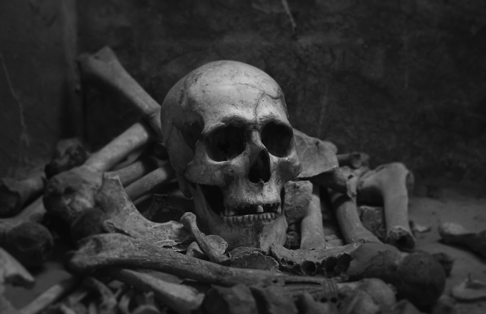 Foto in scala di grigi del cranio sulla superficie di legno