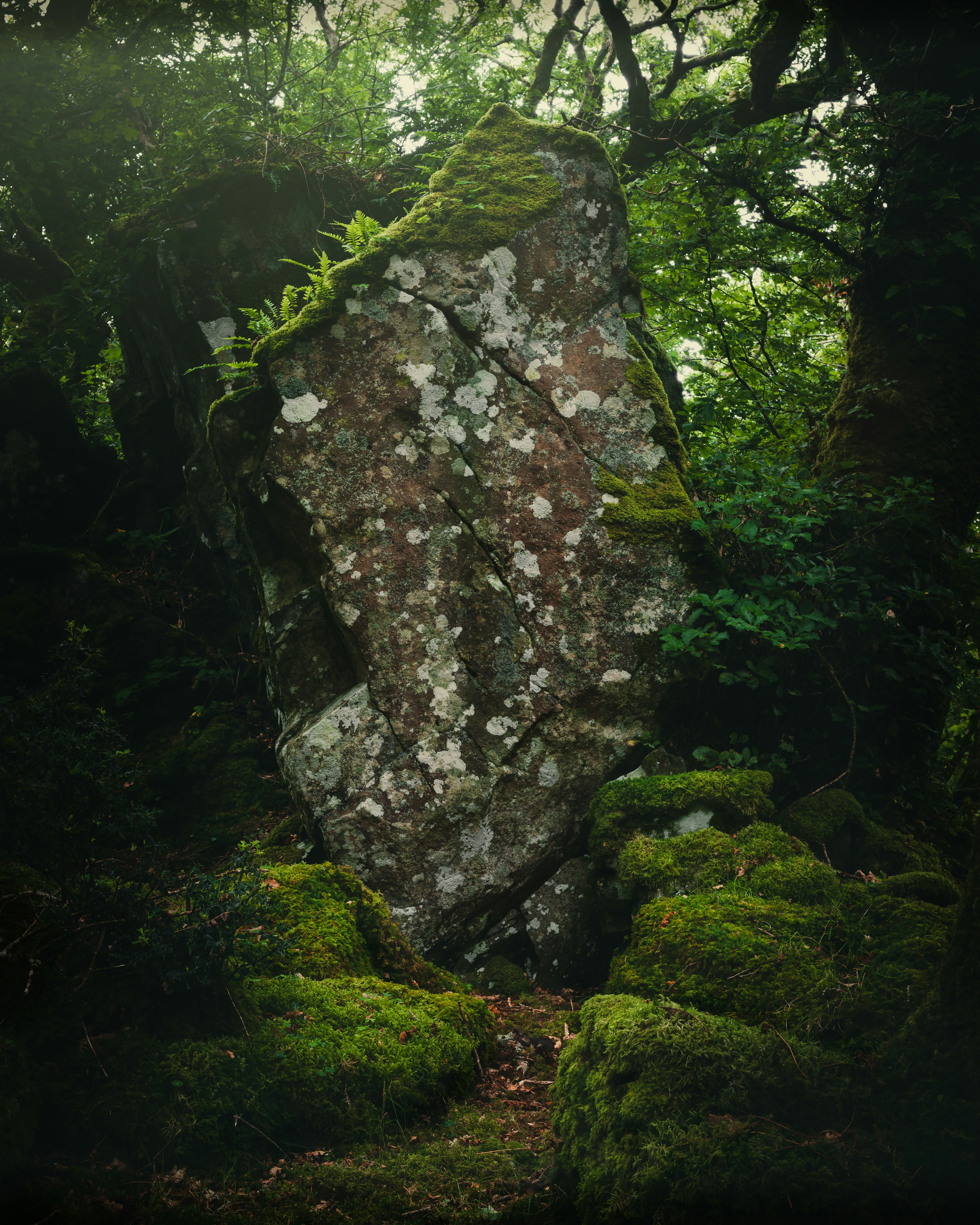 green moss on gray rock