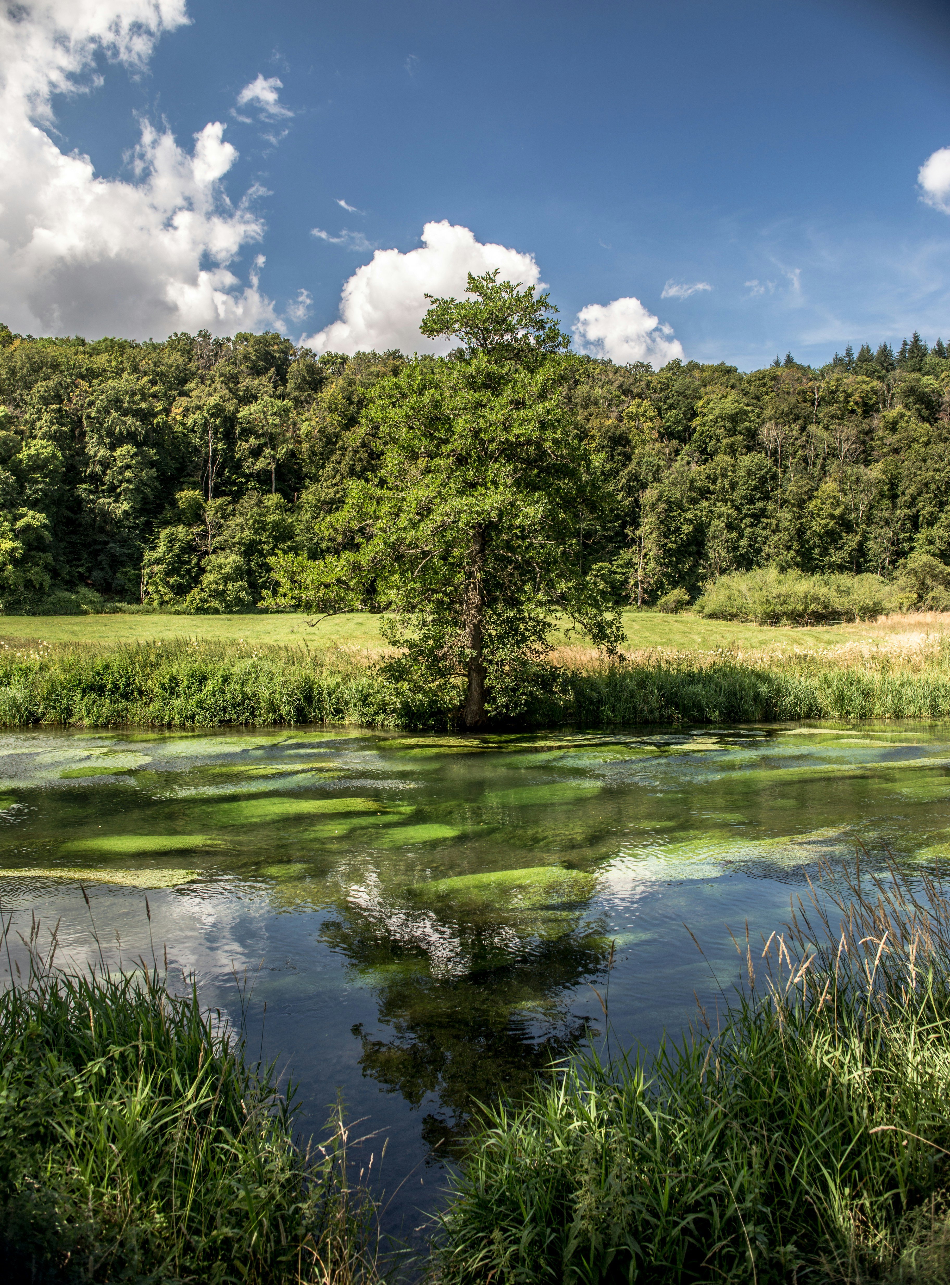 Photo by apsonthemission