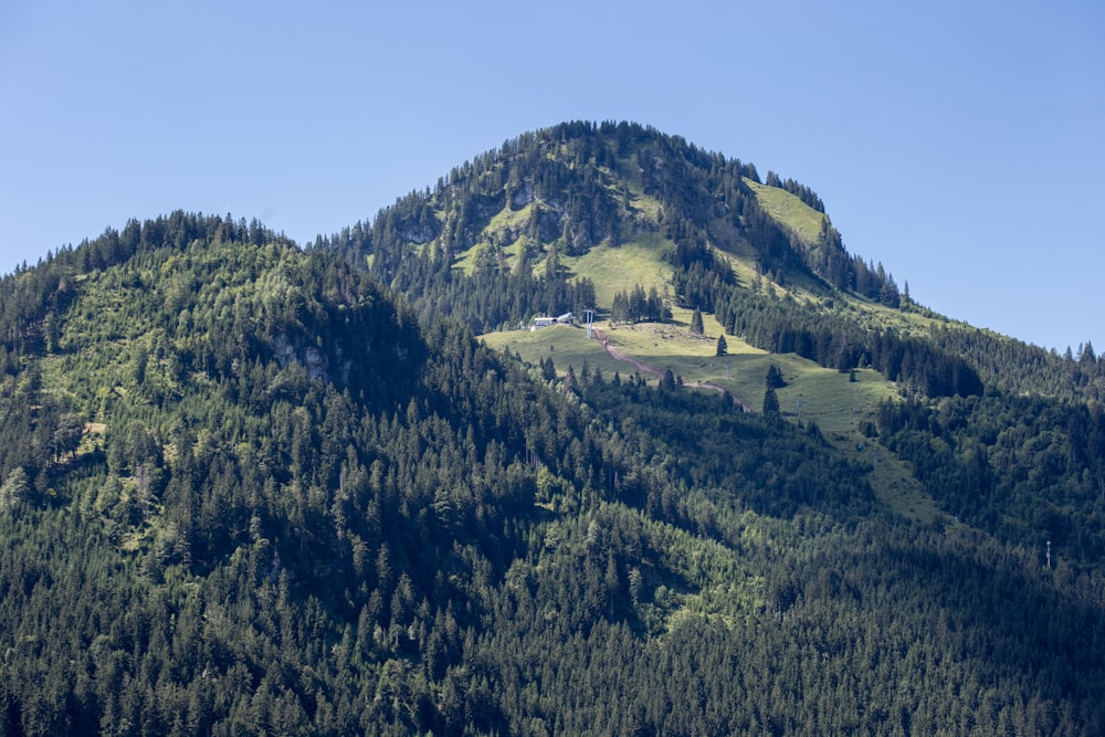 Grüne Bäume am Berg unter blauem Himmel tagsüber