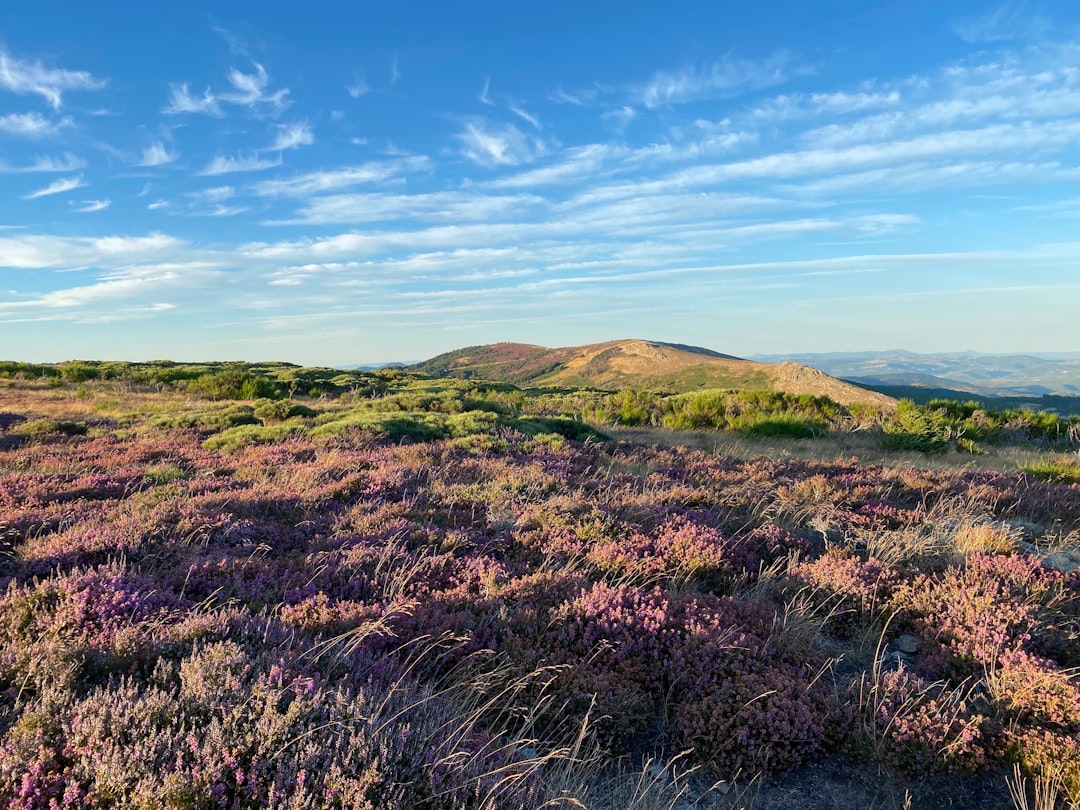 photo of Douch Hill near Sidobre