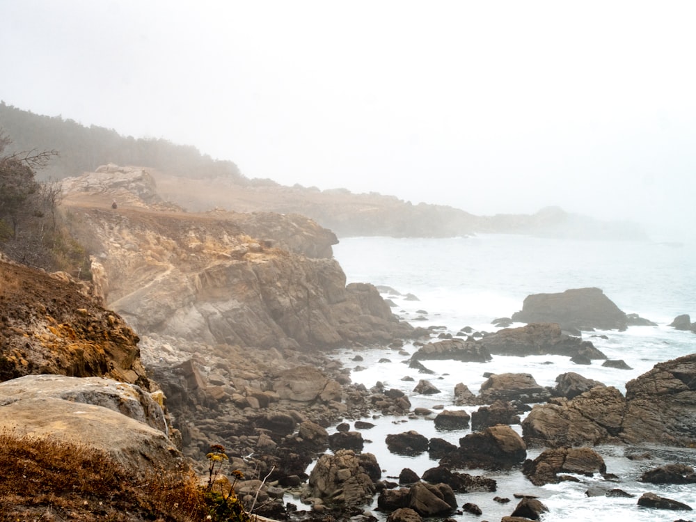 rocky shore with rocks and fog