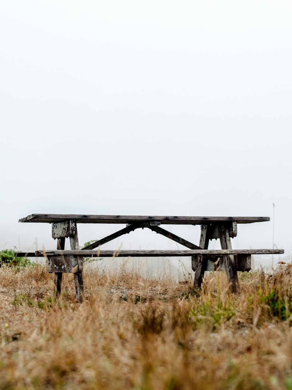 brown wooden bench on brown grass field during daytime