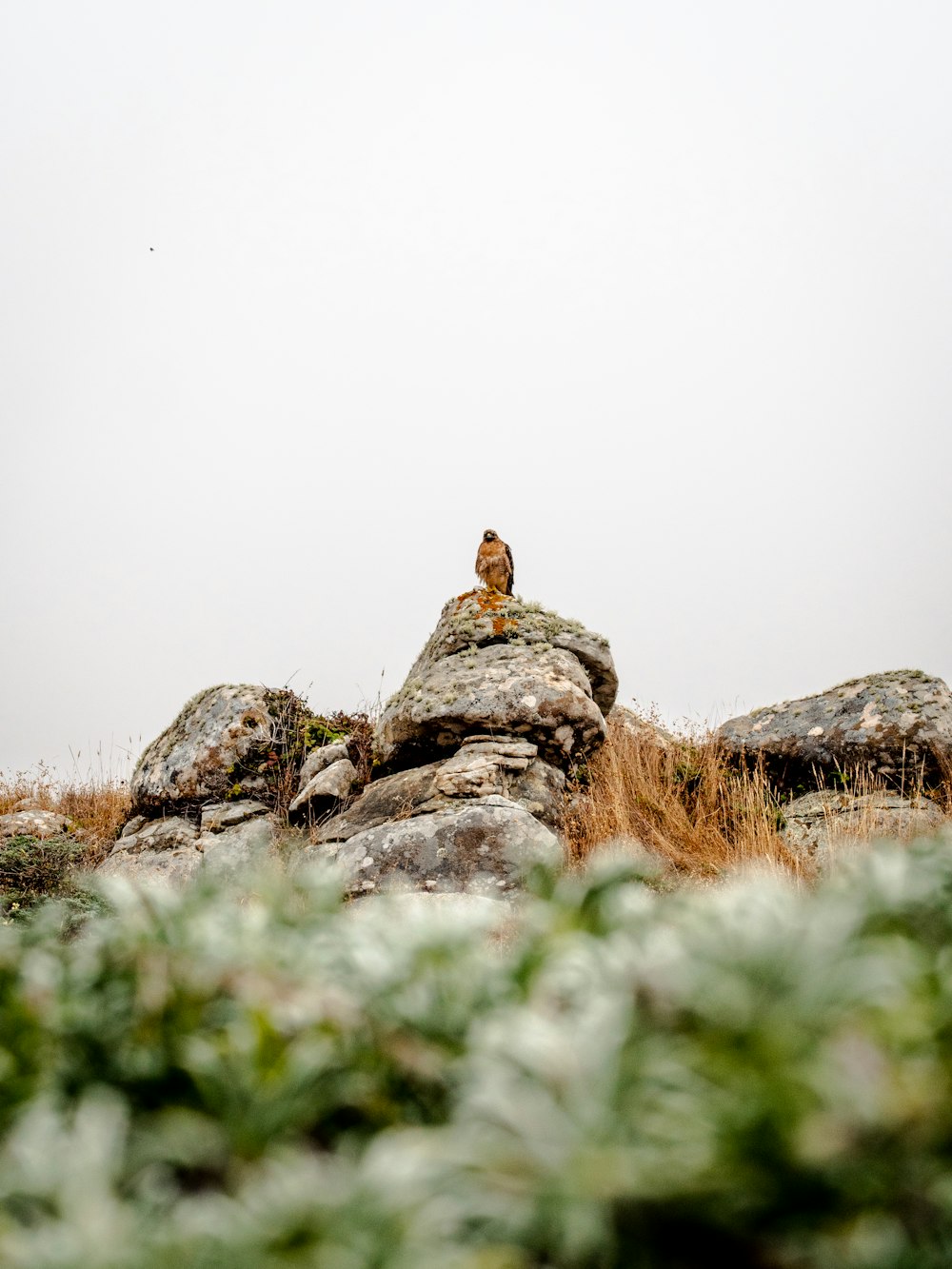 person sitting on rock formation during daytime