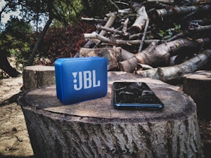 Wireless Bluetooth Speaker