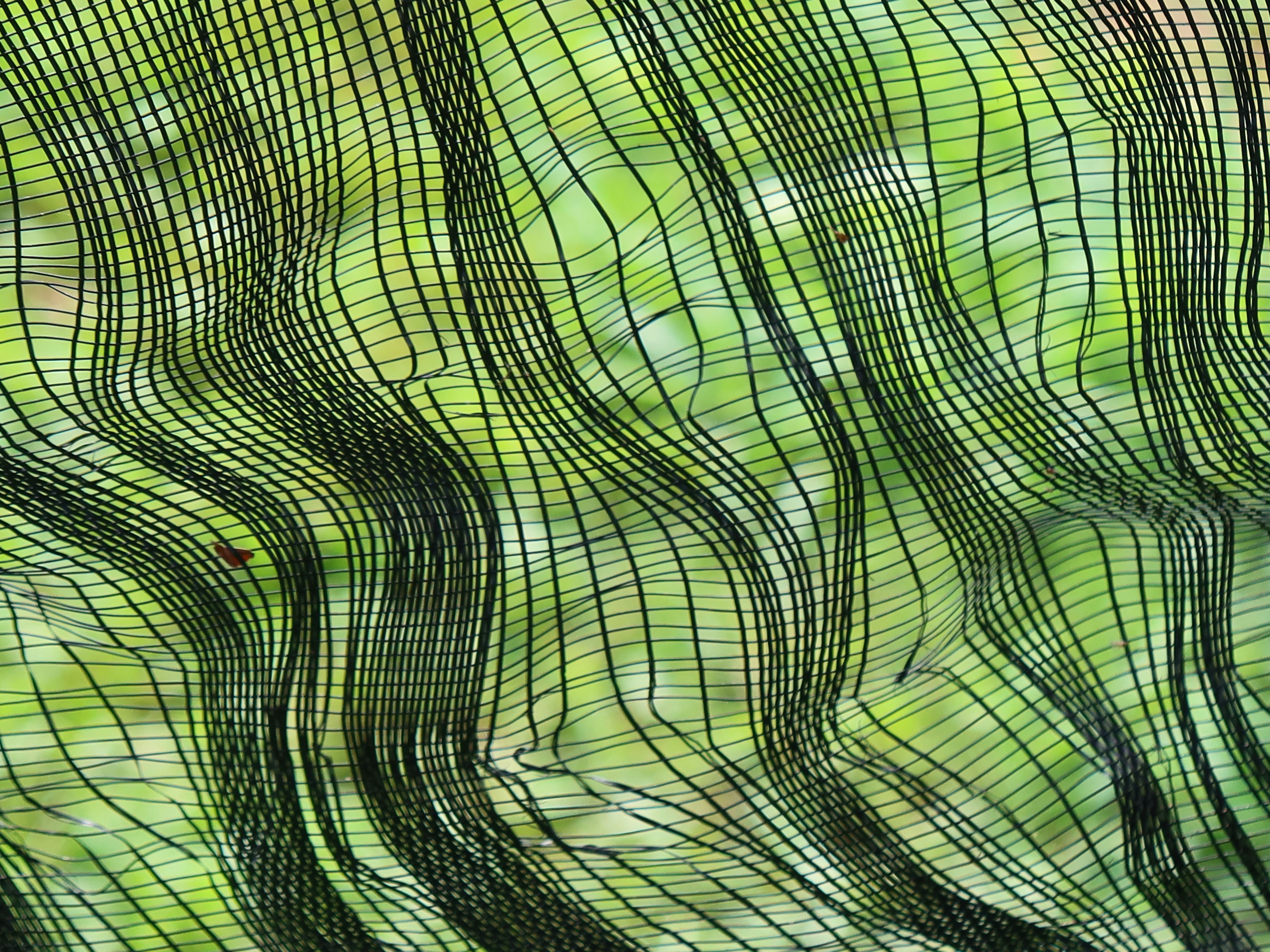 Do Mental Maps make or break a place?