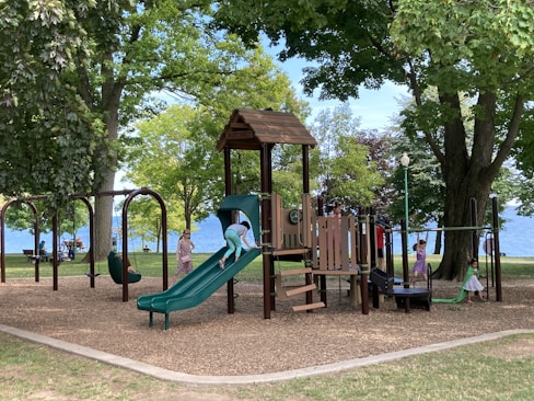 brown wooden playground surrounded by green trees during daytime