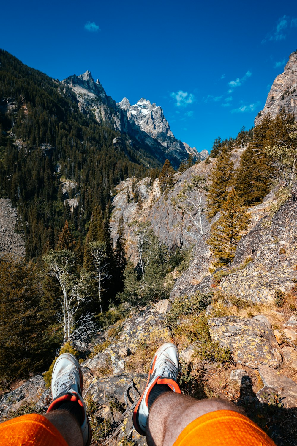 green trees on rocky mountain under blue sky during daytime