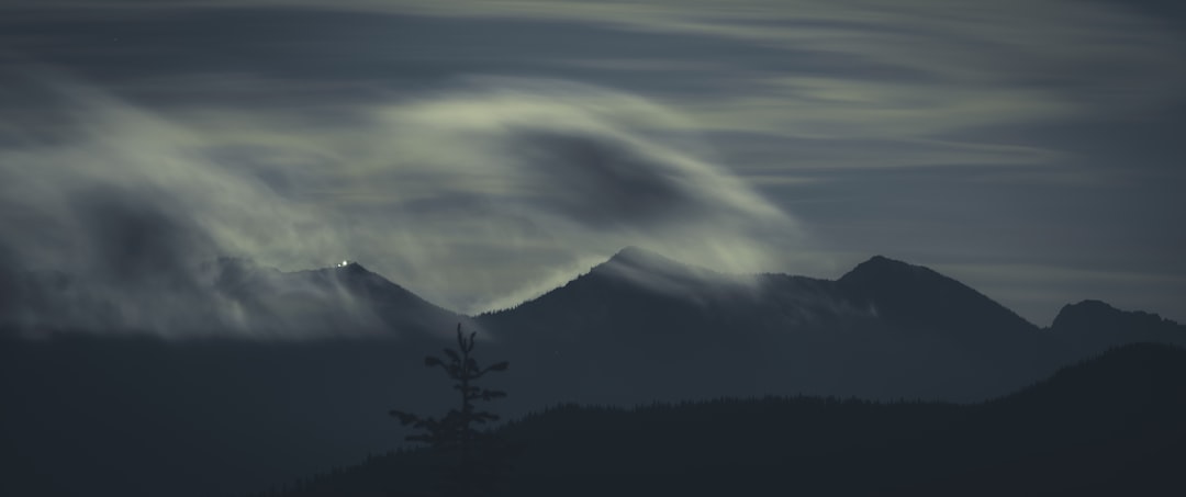 silhouette of trees and mountains under white clouds