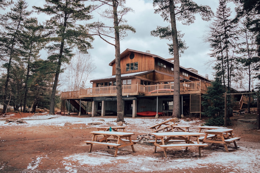 brown wooden house near trees during daytime