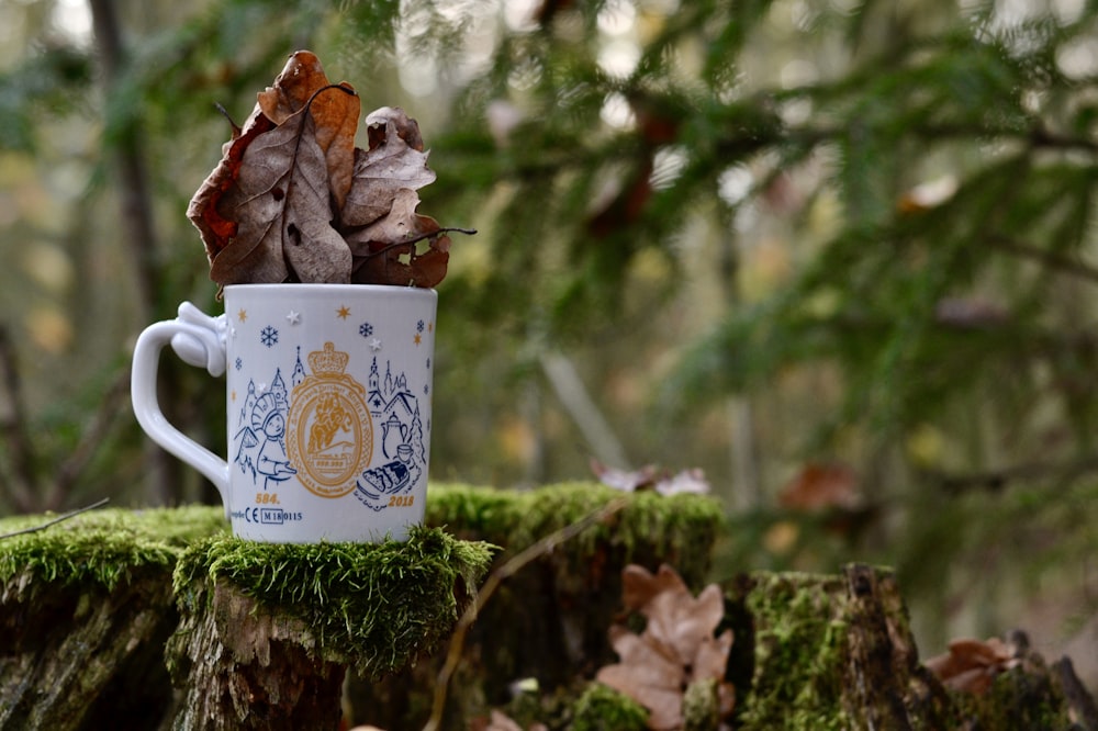 white and brown ceramic mug on brown dried leaves