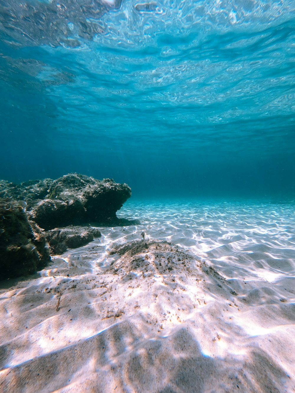 blue body of water during daytime