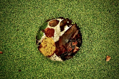 Leaf filter system preventing debris buildup on a residential gutter during autumn.