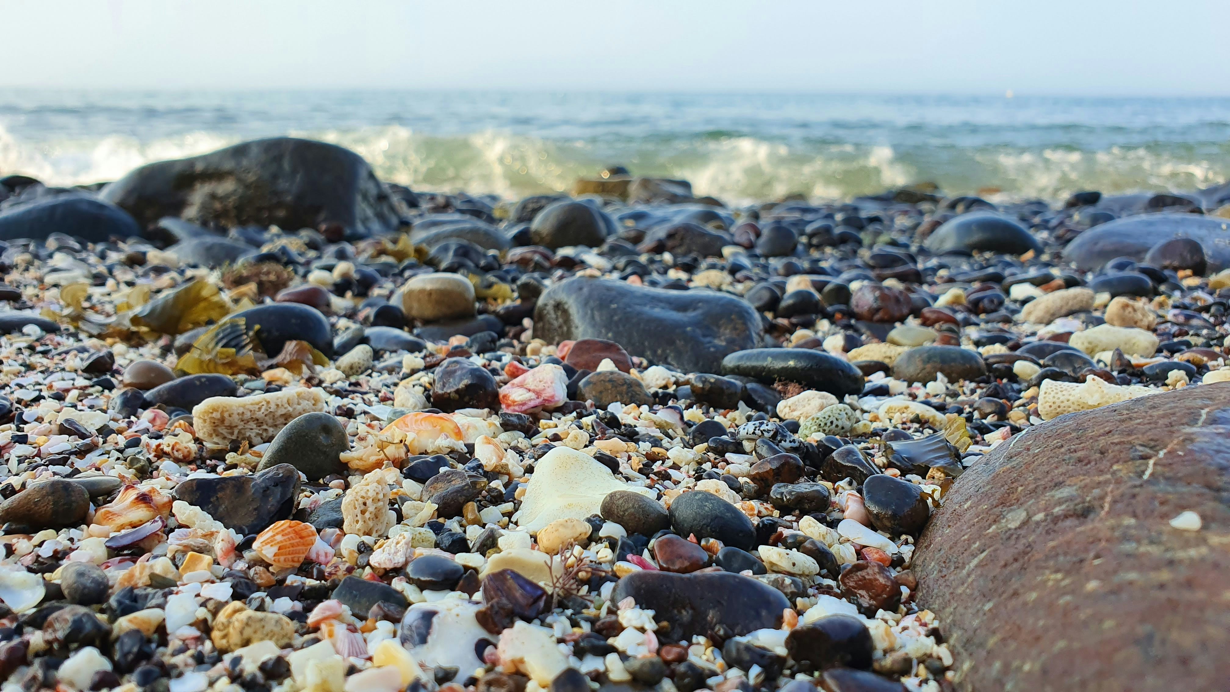 oman zoom background