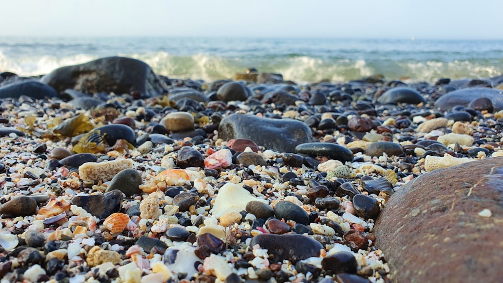 black and brown stones on seashore during daytime