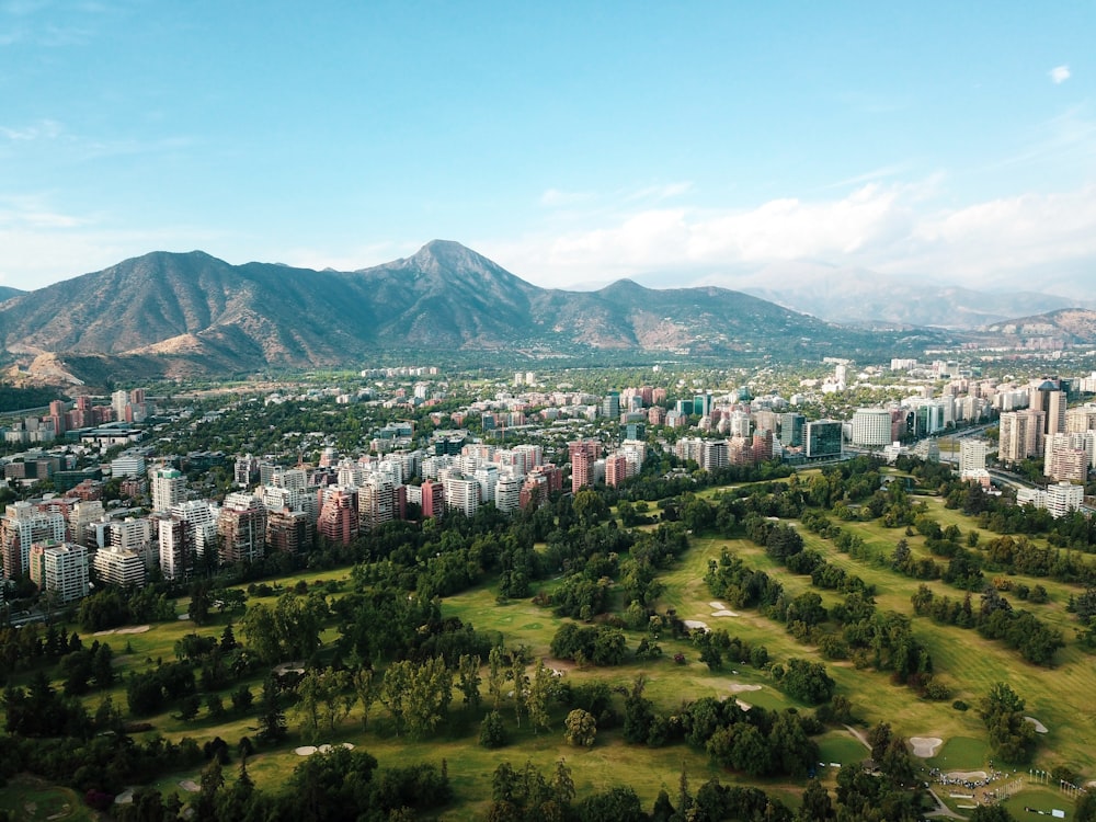 city buildings on green grass field during daytime