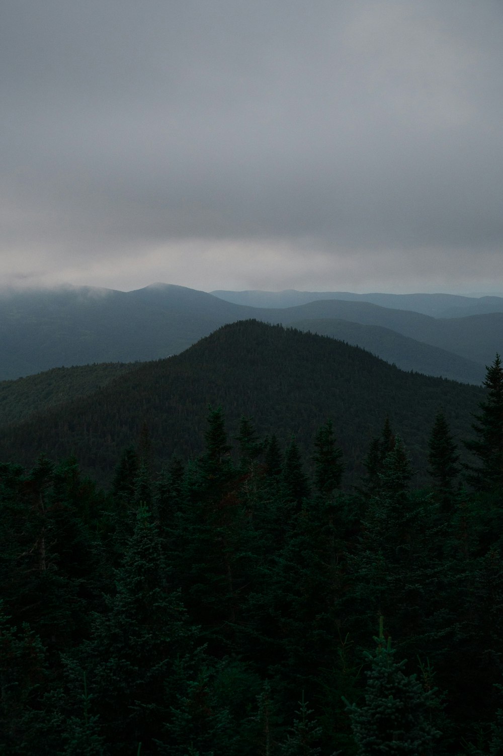 green trees on mountain under white clouds during daytime