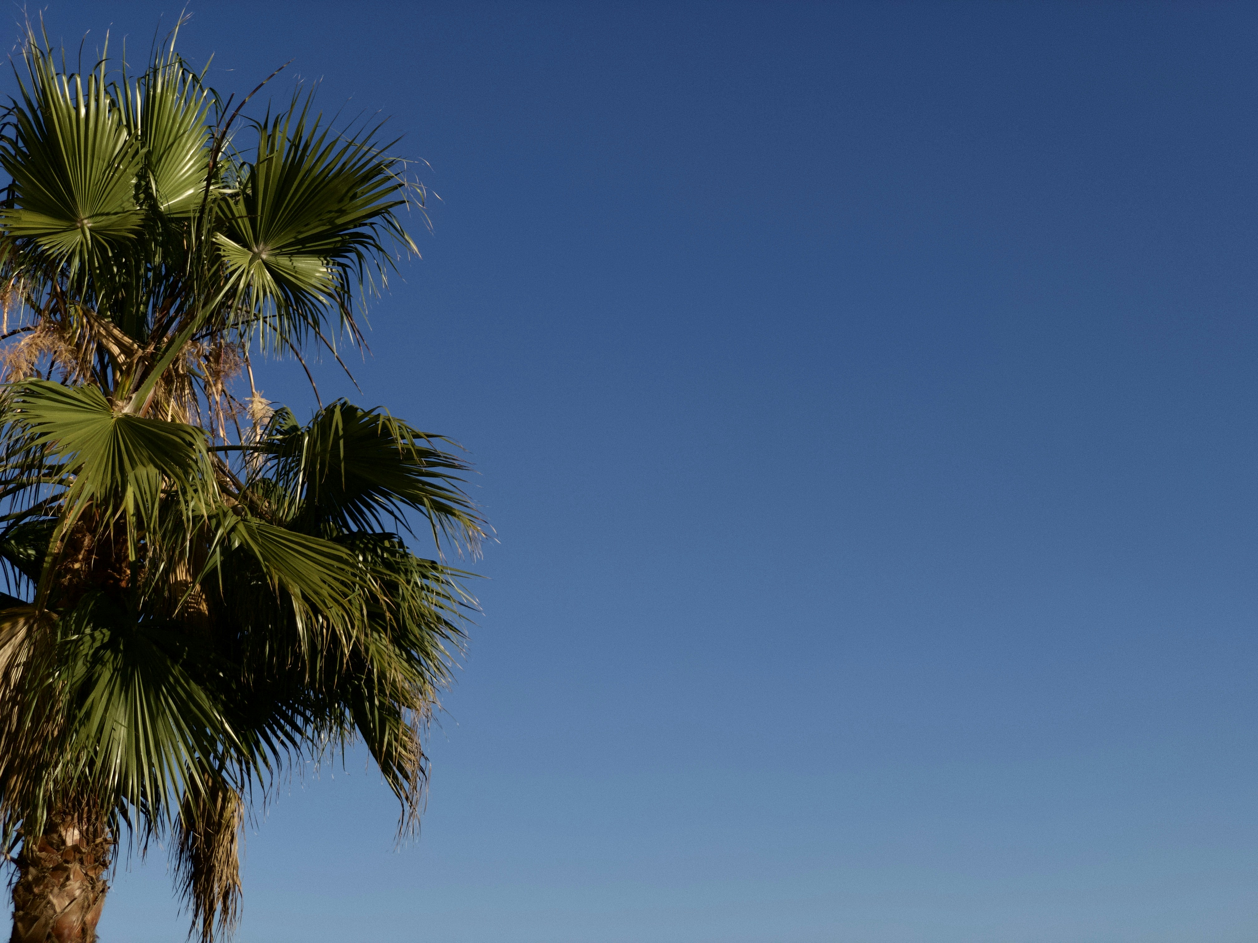 Containers in Playa del Rey, CA