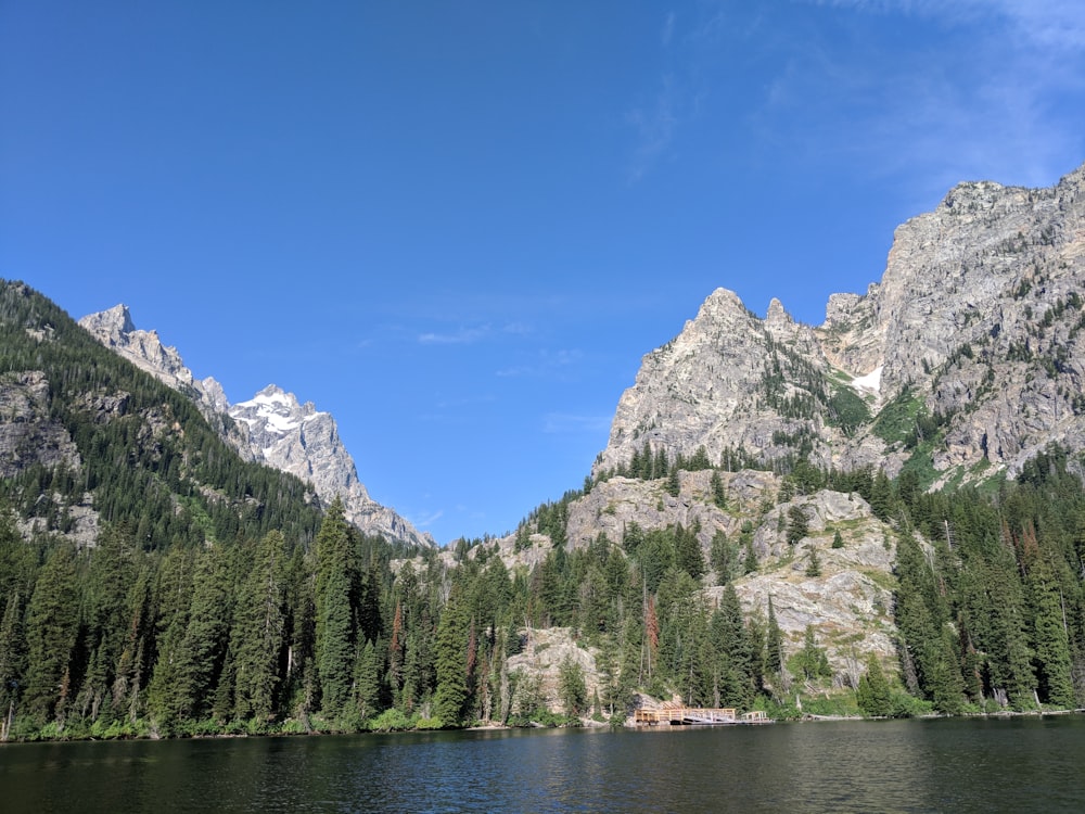 Árboles verdes cerca del lago y la montaña bajo el cielo azul durante el día