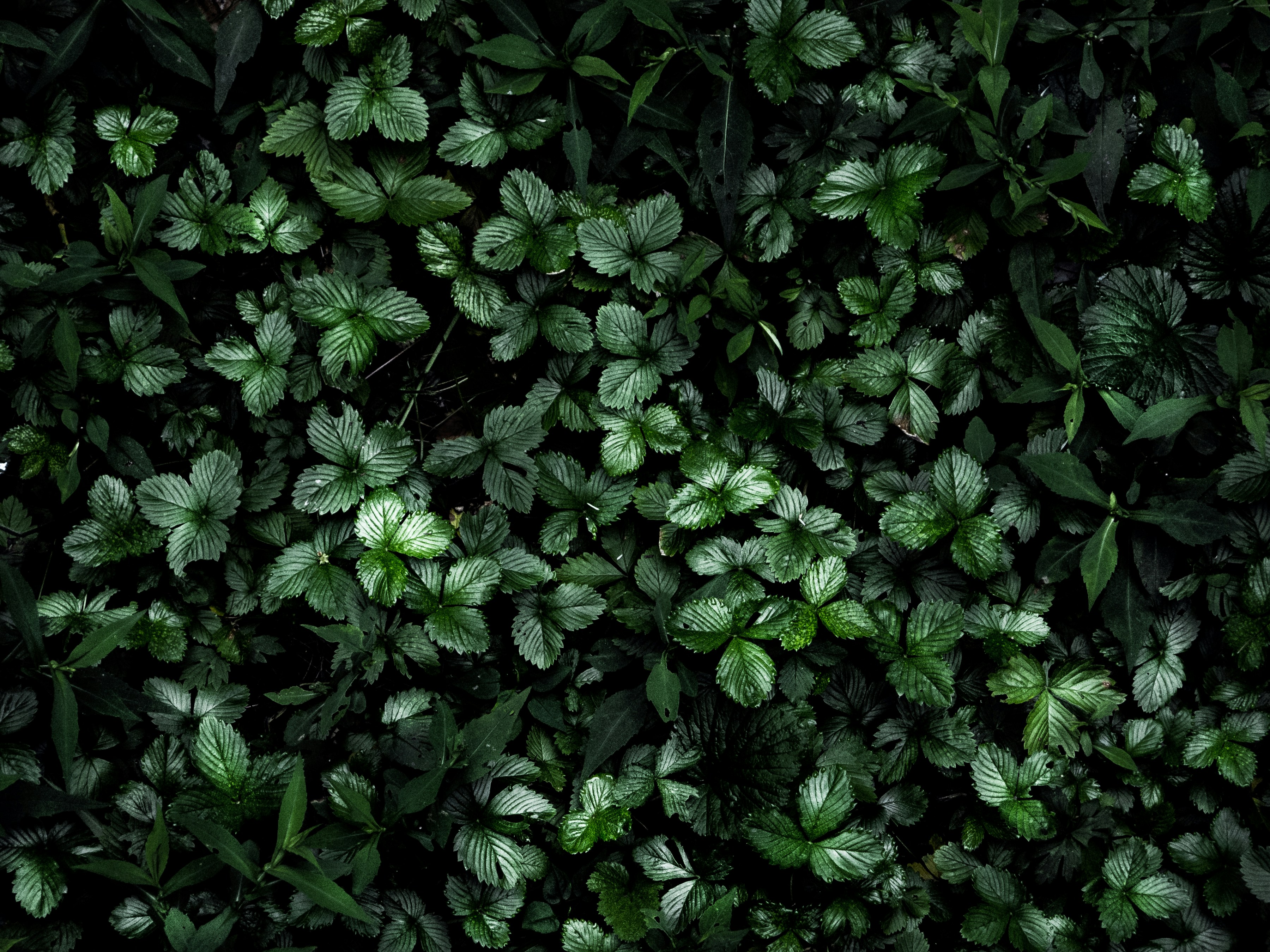 Photo by elizabeth_kay