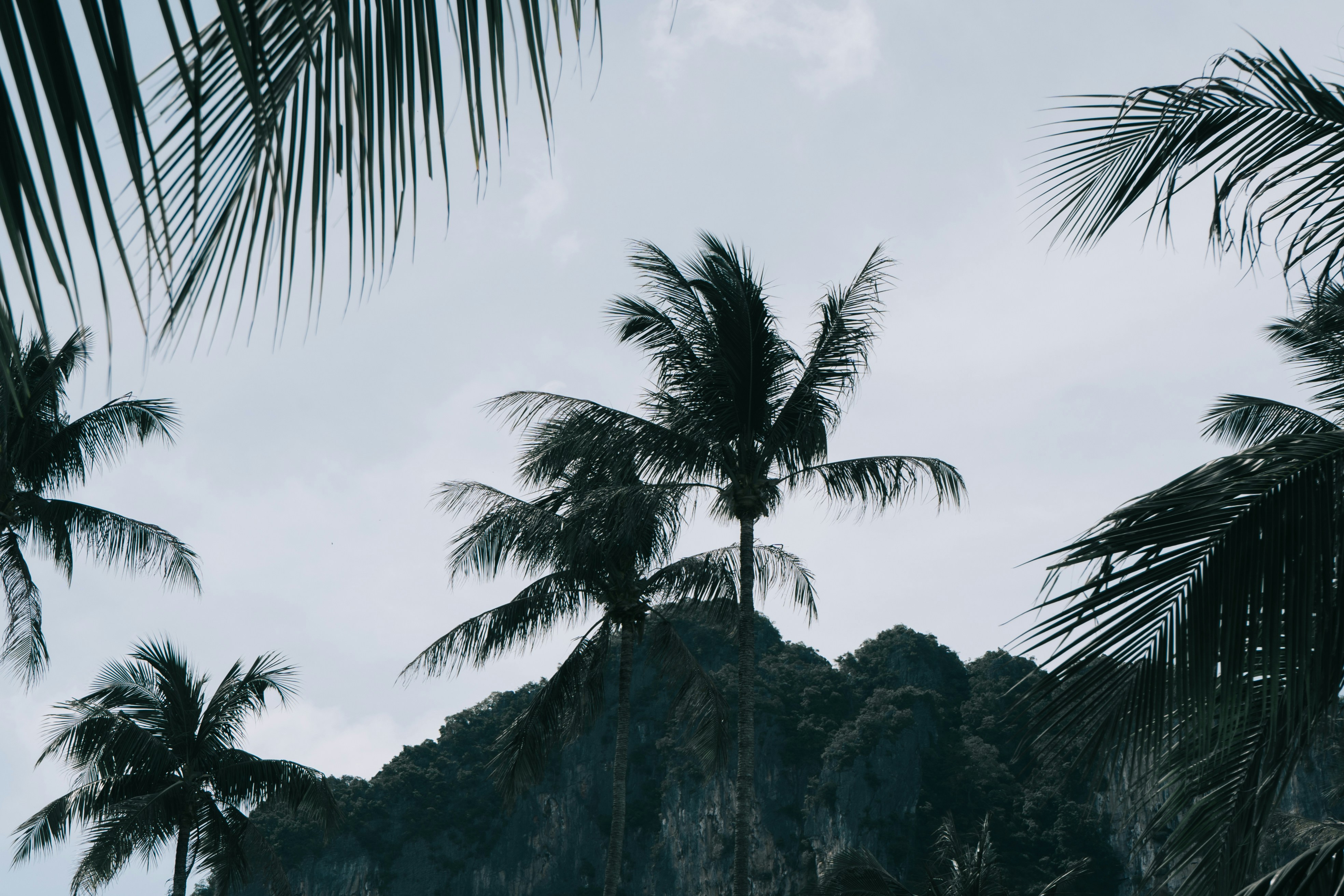 Photo by nicolasjleclercq