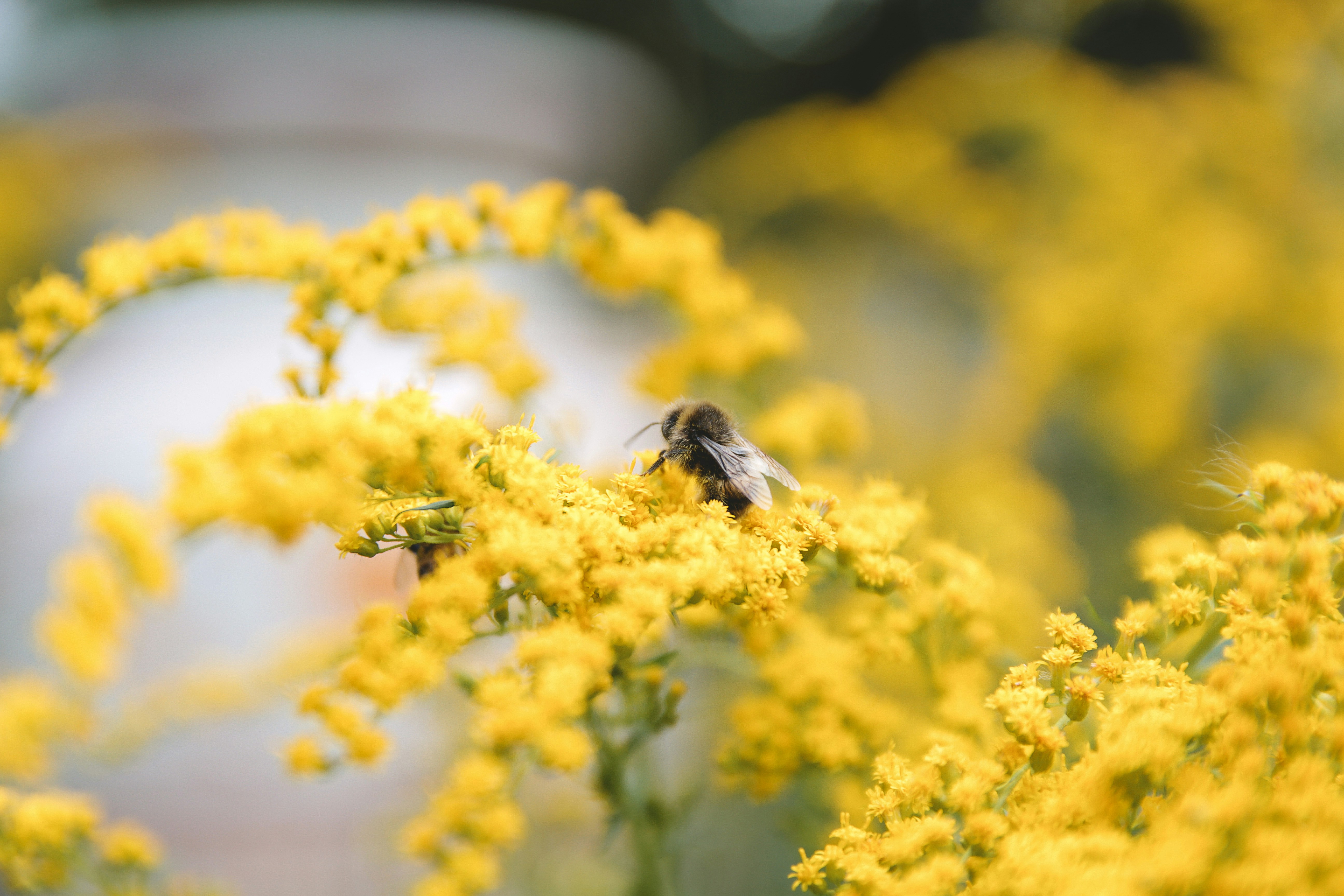 Photo by anna_tikhonova