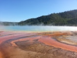A vibrant geothermal hot spring with colorful mineral deposits in shades of orange, yellow, and brown. Steam rises gently across the surface, meeting a backdrop of lush, green forested hills under a clear blue sky.