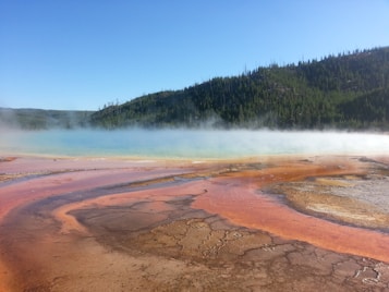 A vibrant geothermal hot spring with colorful mineral deposits in shades of orange, yellow, and brown. Steam rises gently across the surface, meeting a backdrop of lush, green forested hills under a clear blue sky.