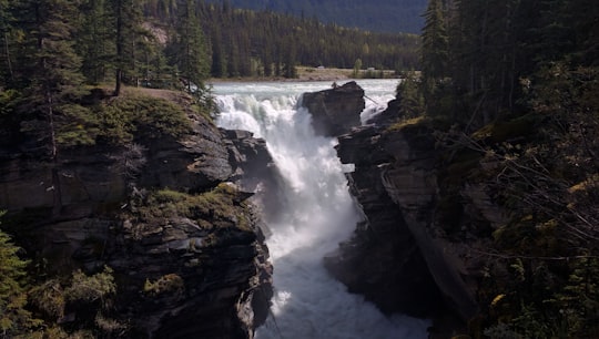 None in Athabasca Falls Canada