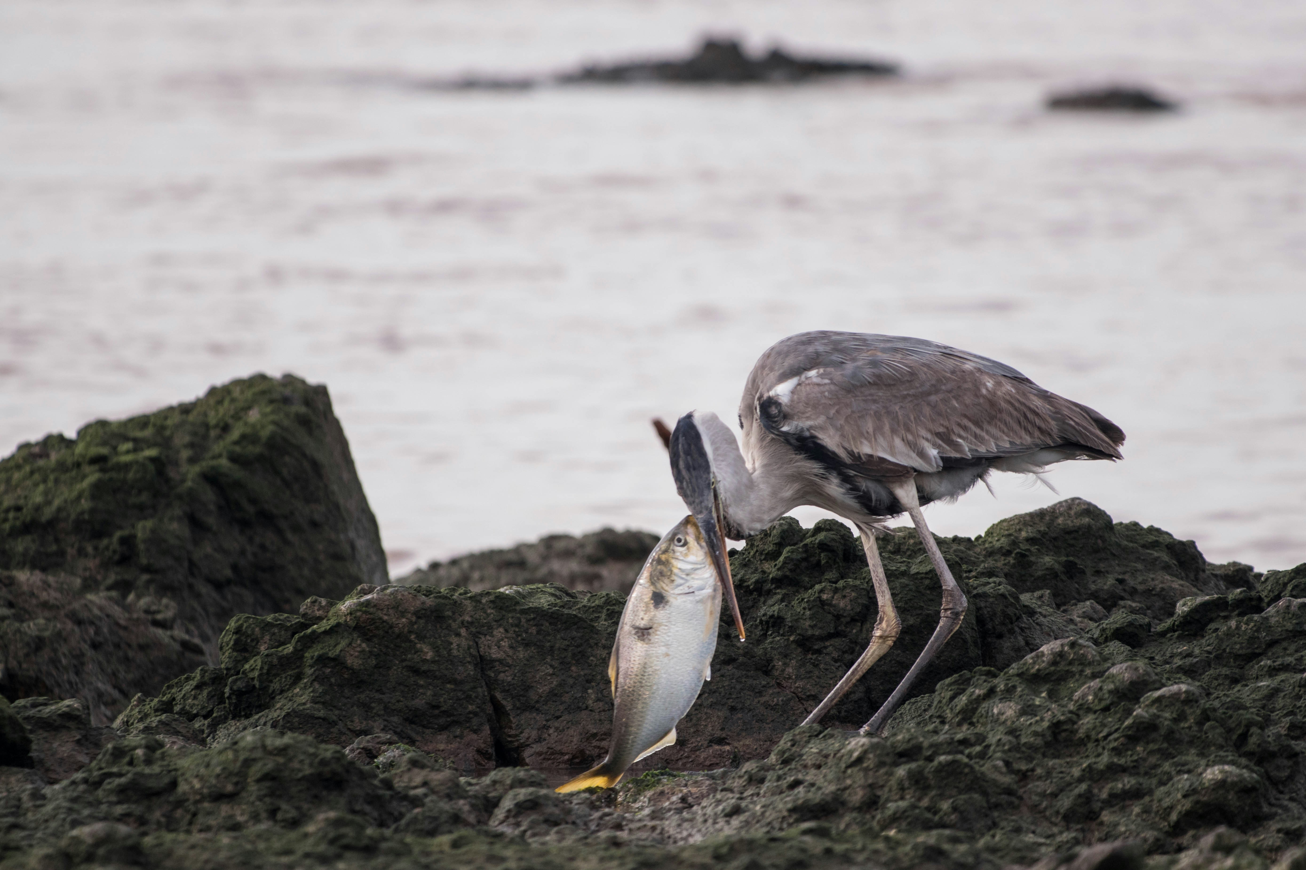 Photo by sonianadales