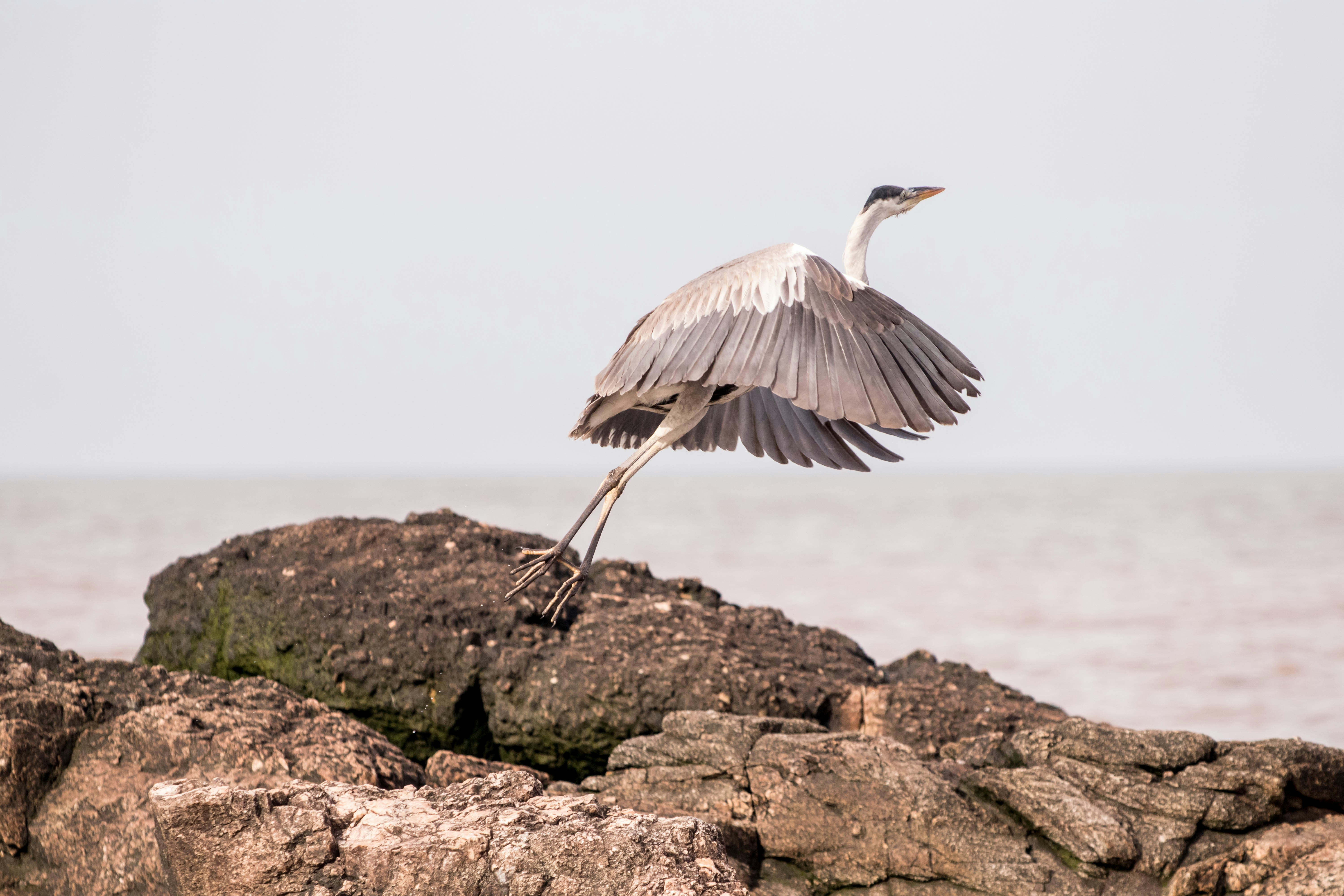 Photo by sonianadales